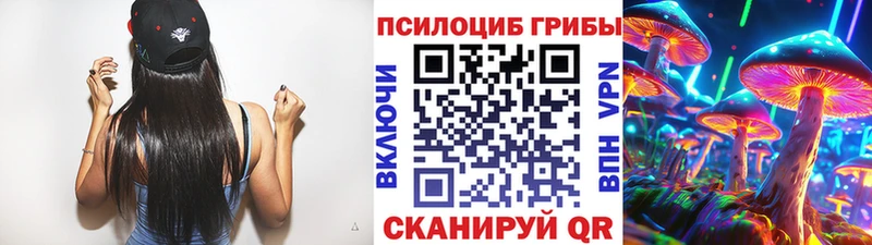 Галлюциногенные грибы Psilocybe  Советская Гавань 